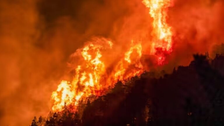 Ruschenberger aclara: ‘La ayuda contra incendios no es de la Nación, es de los bomberos’