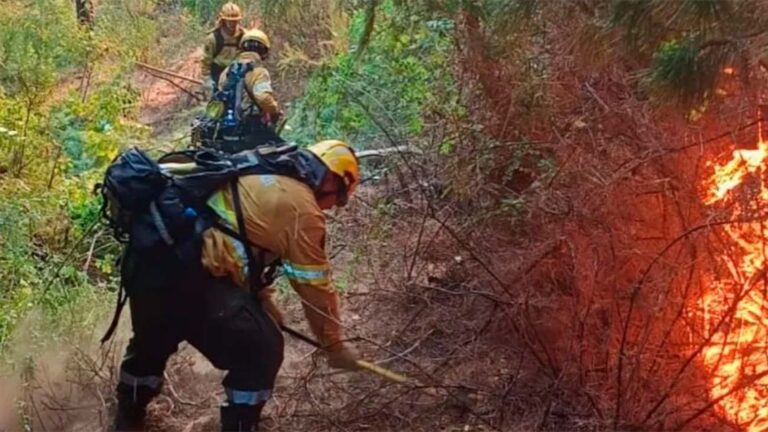 Brigadistas cordobeses luchan contra incendios en Chubut: más de 60 voluntarios en acción