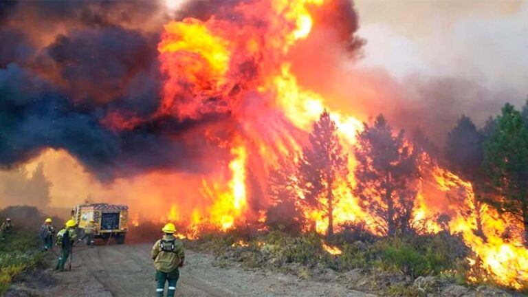 Cholila en peligro: Incendios alcanzan 60 metros y rodean la ciudad