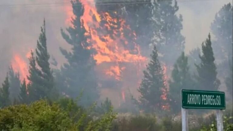 Epuyén declara emergencia por incendios que devastaron 12 mil hectáreas