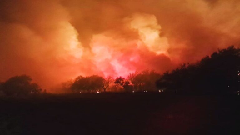 Alerta de incendios: 16 provincias en crisis y evacuaciones en la Patagonia