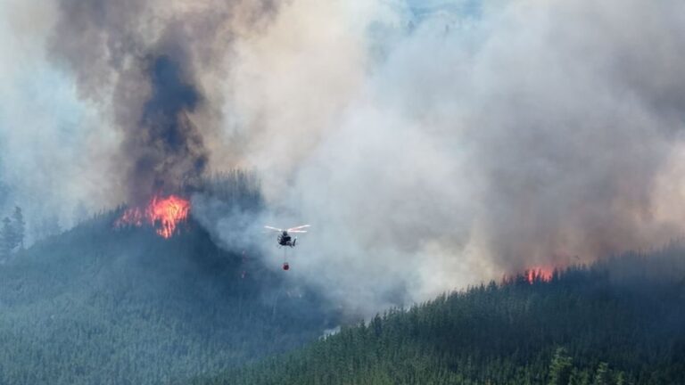 Incendios en la Patagonia: fuego, sequía y viento crean un escenario crítico