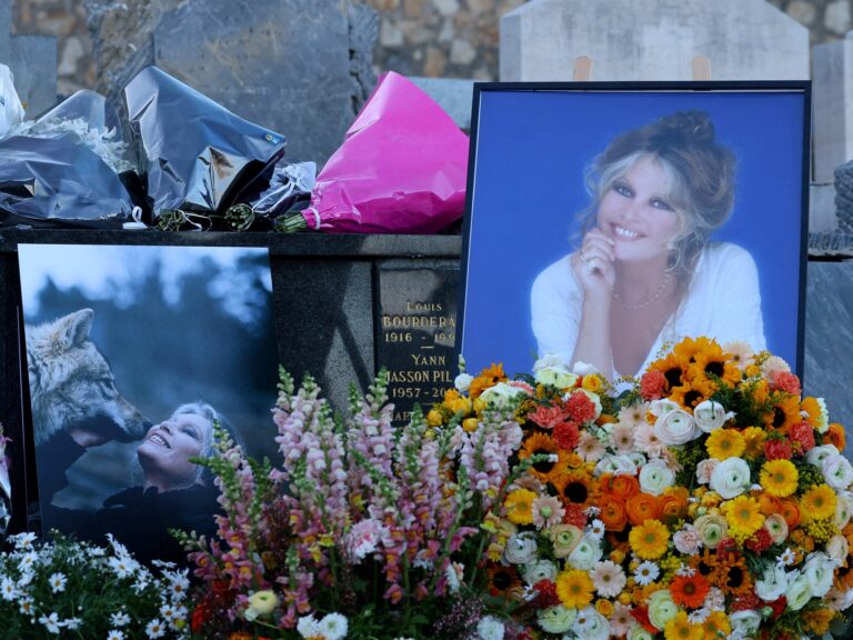 Bardot: Descanso Eterno con su Camiseta y Broche de Foca