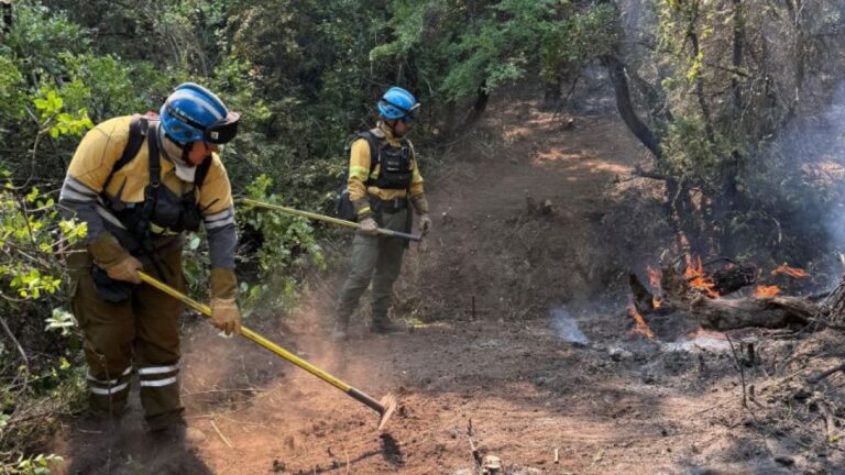 Córdoba refuerza lucha contra incendios en Chubut con más brigadistas