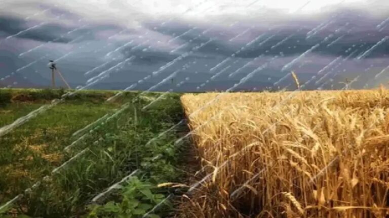 El Agro al Límite: ¿Puede la Sequía Frenar Su Productividad?