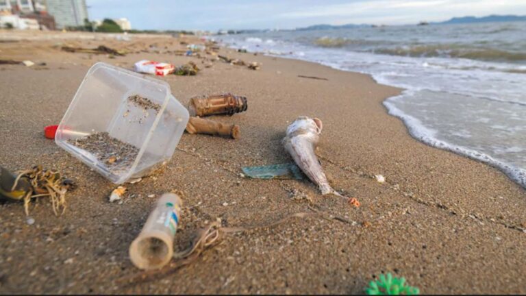 El 80% de los desechos en playas bonaerenses son plásticos