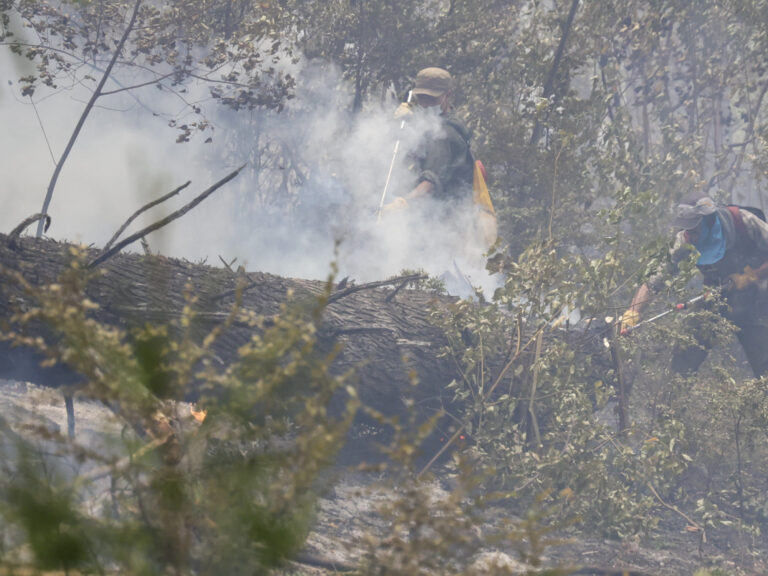 El Gobierno Interviene el Parque Nacional Los Alerces en Plena Batalla Contra los Incendios en la Patagonia
