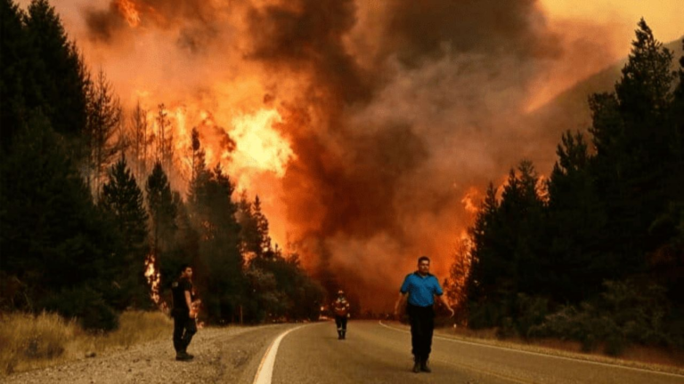 Política Agrava Incendios en el Sur