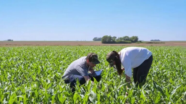 Por qué los productores deben priorizar la planificación de su comercialización