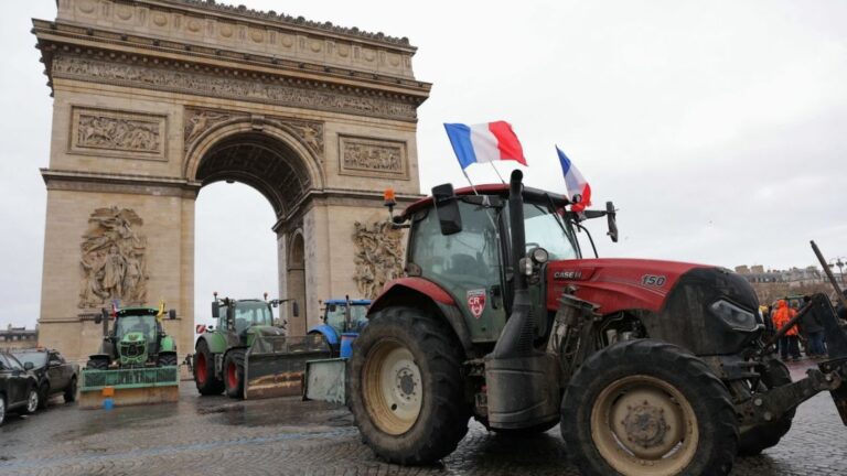 Ganaderos argentinos defienden el acuerdo UE-Mercosur ante críticas de Francia
