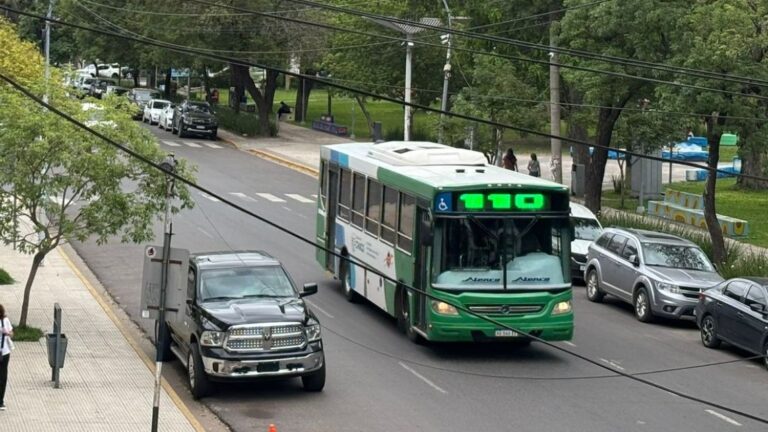 El Gobierno Retiene Subsidios a Colectivos con Irregularidades
