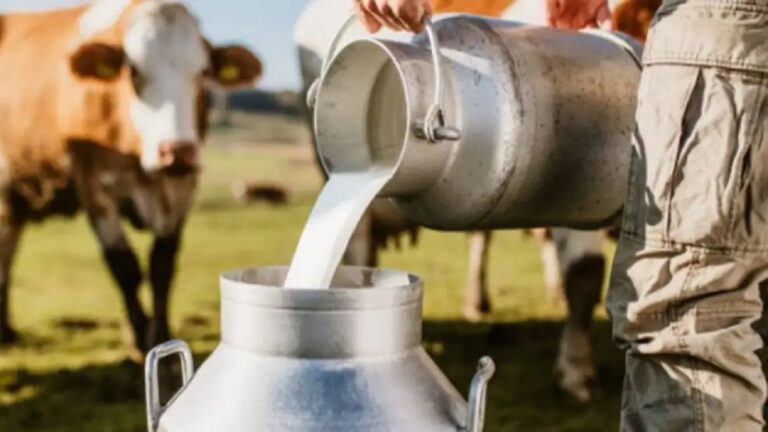 Impulso a la industria láctea: Exportación para una distribución equitativa
