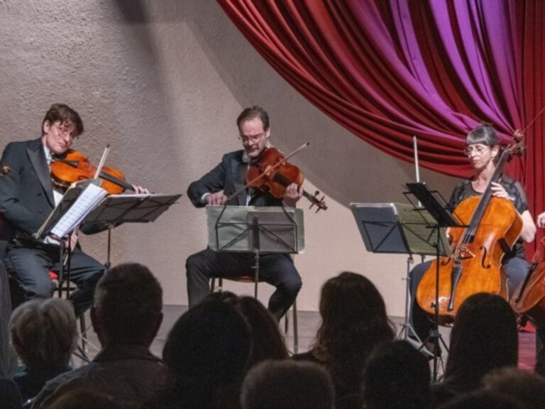 Conciertos de Música Clásica en un Entorno Natural Espectacular