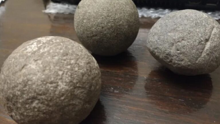 Descubre las Fascinantes Donaciones al Museo Paleontológico de San Pedro