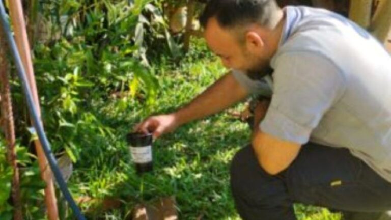 Misiones: Iniciativas Efectivas para Controlar el Aedes aegypti
