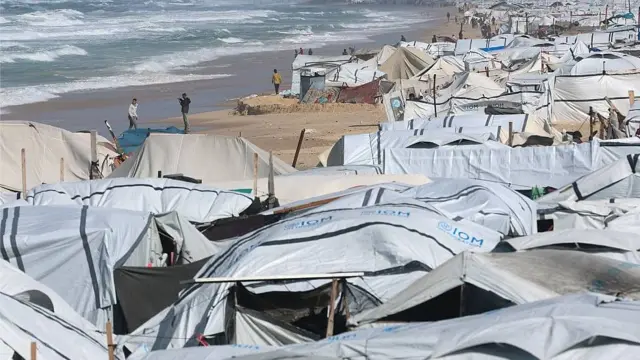 Ambulancias en Rafah esperando ingresar a Gaza