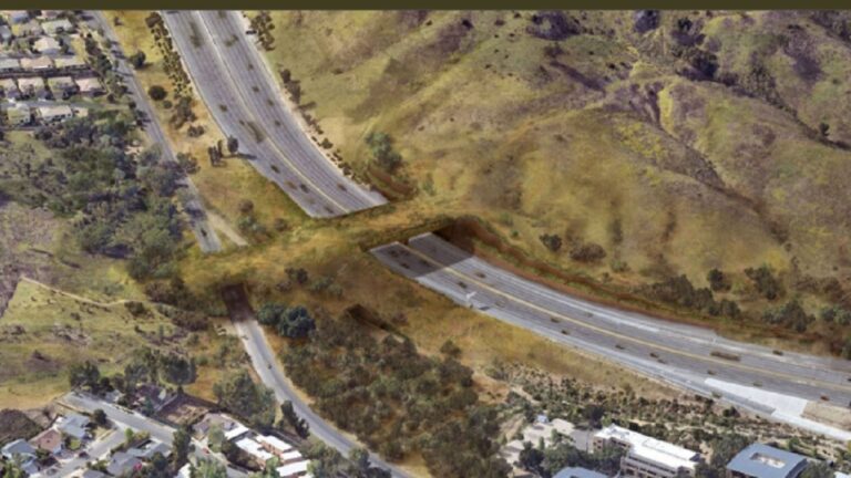 California construye un puente exclusivo para animales