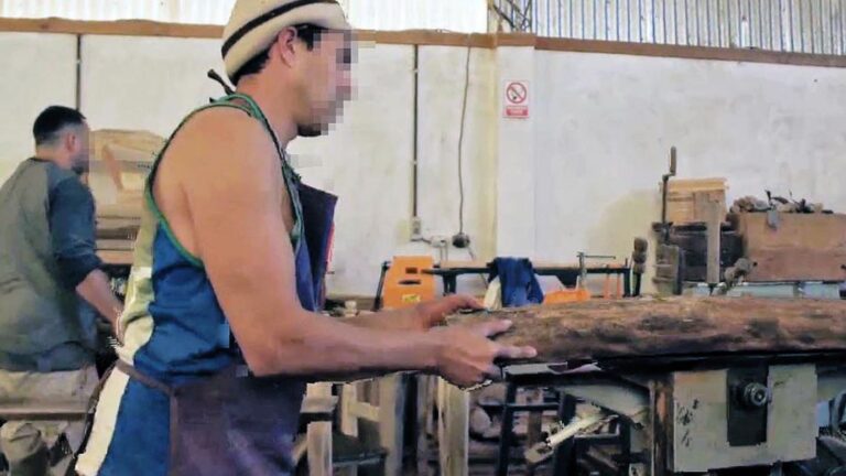 Prisión y Trabajo: La Nueva Esclavitud Sin Salario