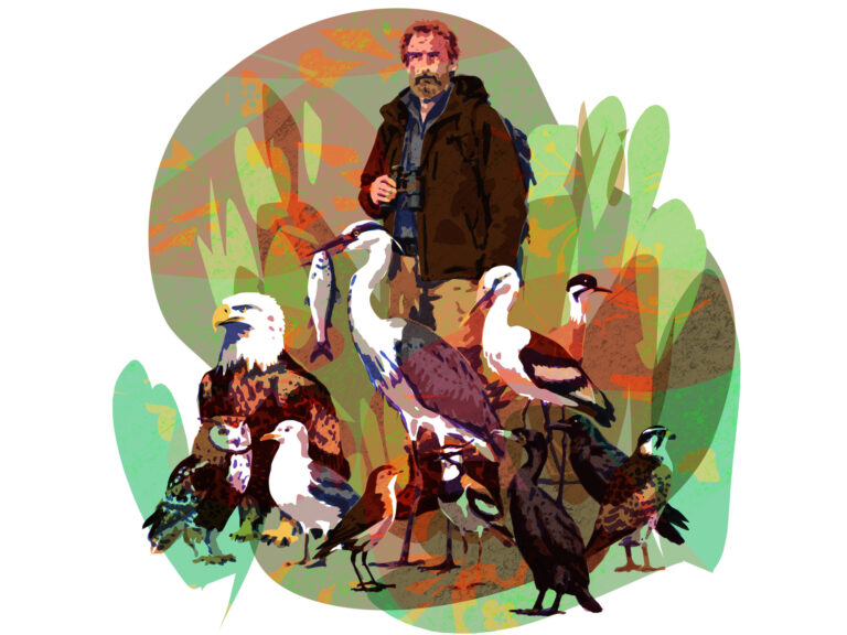Pájaros en Silencio: Parte 1