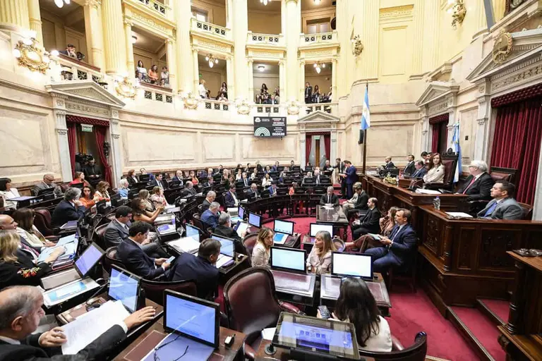 El Senado aprobó la reforma laboral tras una maratónica sesión
