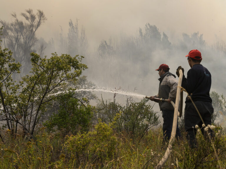 Estado Actual de los Incendios en Chubut