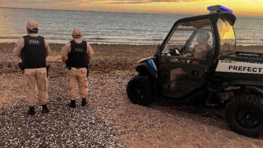 Perspectiva de la búsqueda en Puerto Madryn