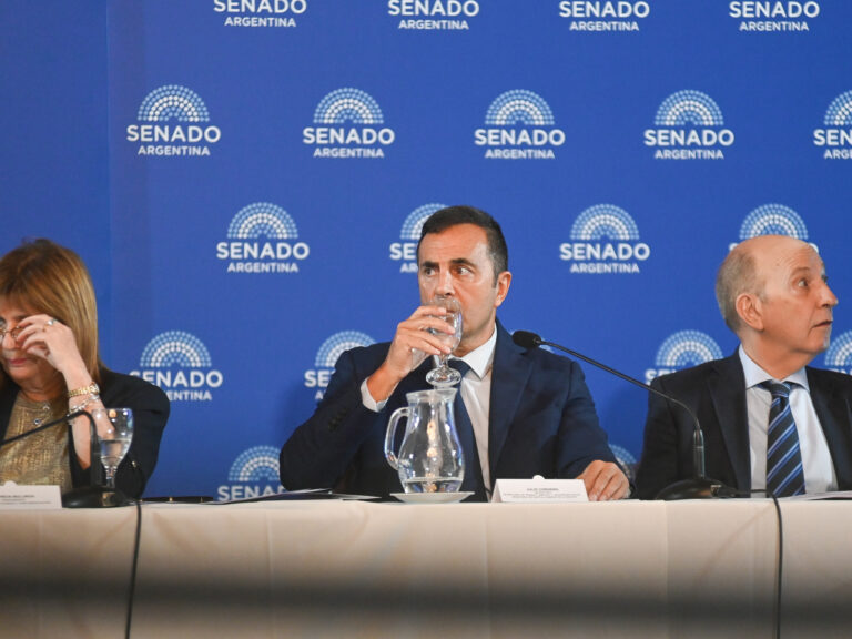 Provincias piden al Gobierno convocar urgentemente al Consejo Federal del Trabajo en medio del debate sobre la reforma laboral