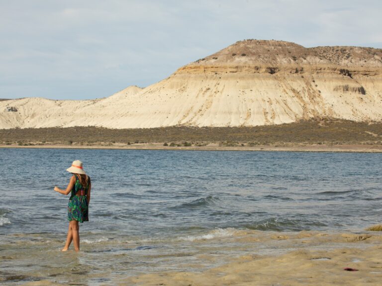 Explora el Balcón Natural de Madryn: Lobos Marinos y un Buque Hundido