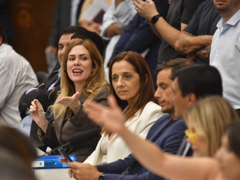 Del Caño y Lilia Lemoine en acalorada discusión por reforma laboral: ‘Cobrás 5 millones, ¡anda a Miami!’