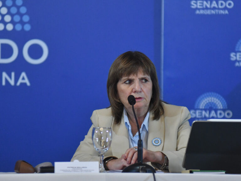 Bullrich Replica a Germán Martínez: «La Reforma Laboral No se Toca»