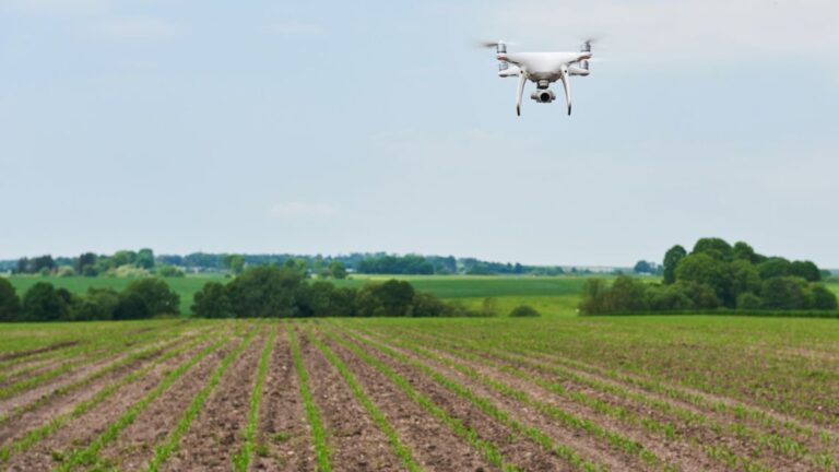 Revolución agrícola: Pilotos de drones ganan hasta $5 millones al mes