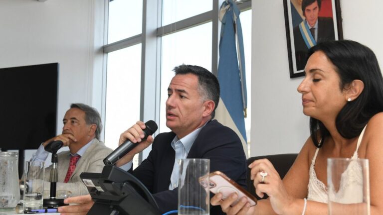 Bornoroni anuncia conteo de votos para el miércoles: El FAL genera divisiones con el Panal