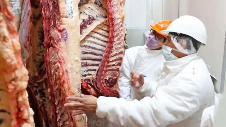 ¡Récord en exportaciones de carne bovina: superan los USD 3.700 millones en 2023!