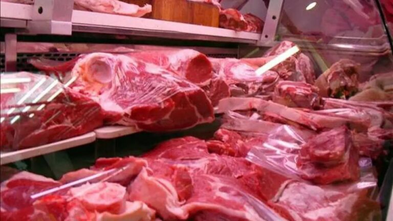 Crisis en el sector cárnico: «El mundo enfrenta una escasez de carne vacuna»