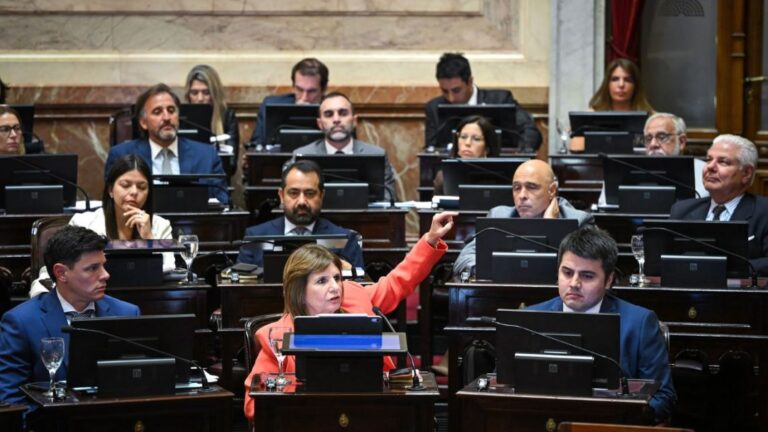 Patricia en el Congreso: Enfrentando la interna oficialista y el silencio de Villarruel