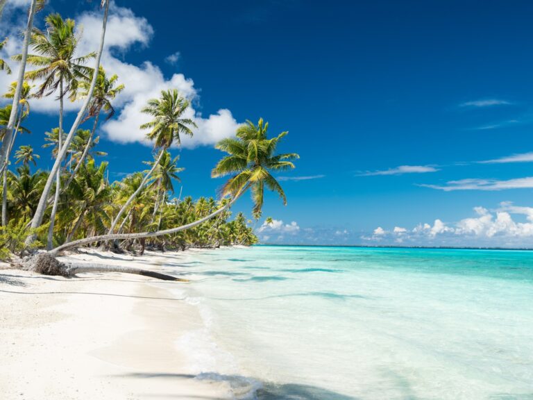 Las Mejores Playas del Mundo: Las Tres Joyas de Sudamérica según TripAdvisor 2026