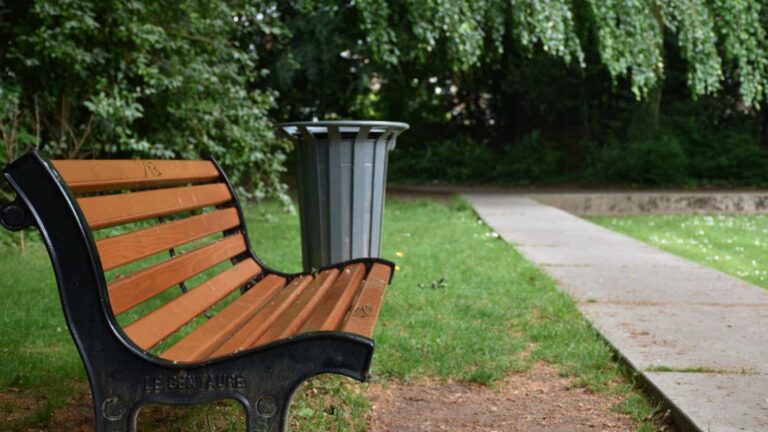 Errores Frecuentes en el Diseño de Jardines y Cómo Evitarlos