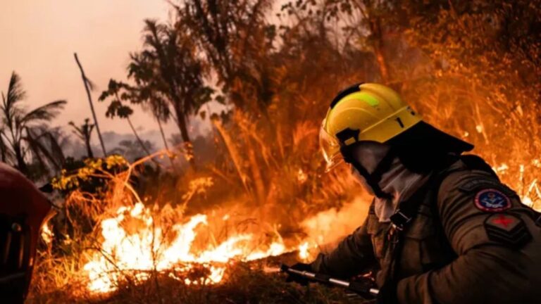 Bomberos de Córdoba enfrentan incendios complejos en Cholila: fuego subterráneo y nuevos focos en Chubut