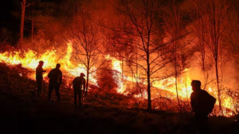 Córdoba: 675 incendios y 21 mil hectáreas devastadas en 2025