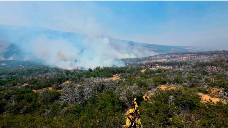 Las lluvias en la cordillera alivian momentáneamente, pero el fuego avanza en la Patagonia