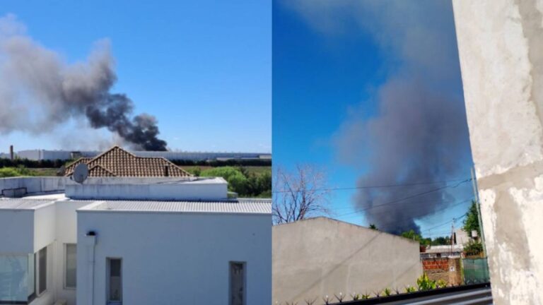 Incendio consume dos galpones de Norlog en Tigre