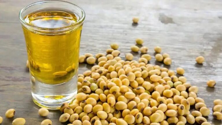 Alerta: Aceite de Soja Argentino en Riesgo por Acuerdo EE.UU.-India