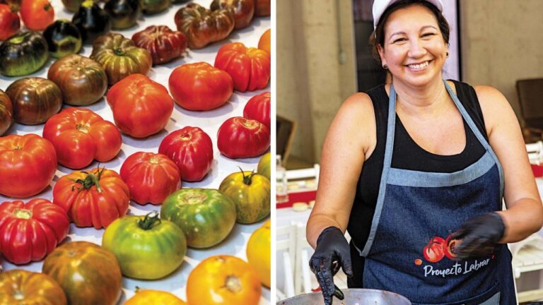 El regreso del auténtico sabor del tomate
