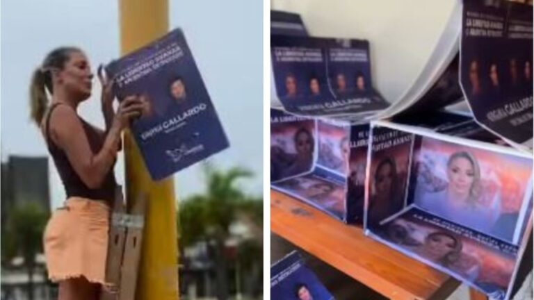 Virginia Gallardo convierte carteles de campaña en refugios para perros y suscita controversia