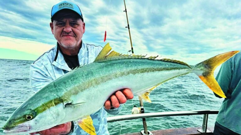 Febrero Amarillo: ¡Descubre la frescura del limón en Weekend!
