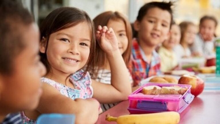 “Meriendas Saludables para el Regreso a Clases: Ideas Sin Empaque y Recetas Prácticas”