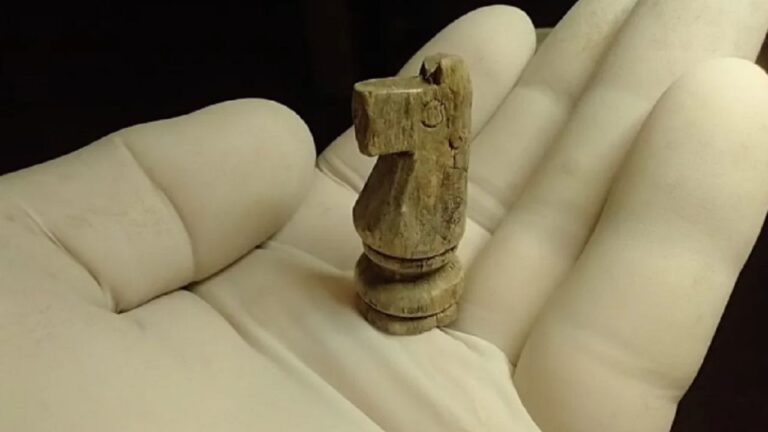 Un albañil halla un caballito de ajedrez en el histórico campo de la Vuelta de Obligado.