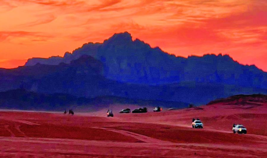 Actividades en Wadi Rum