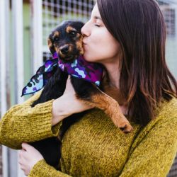 Proceso de adaptación y convivencia