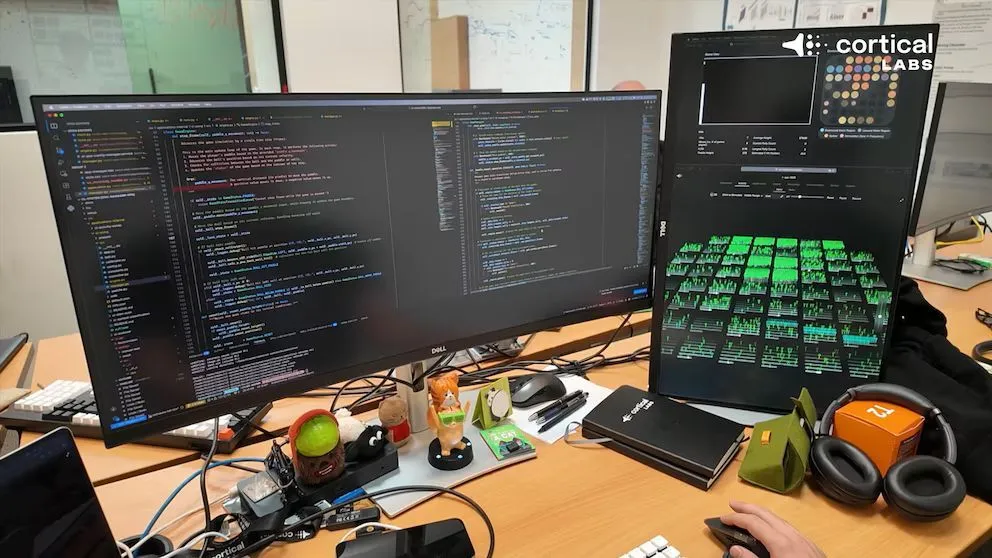 Cultivo de Neuronas en CL1